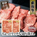 36位! 口コミ数「6件」評価「4.17」飛騨牛 切り落とし 300g×2パックセット みすじ ウデ すき焼き しゃぶしゃぶ 希少部位 600g 和牛 国産牛 ブランド牛 冷凍 飛騨･･･ 