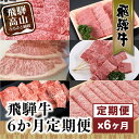 飛騨牛 【ふるさと納税】肉 飛騨牛 定期便 6か月 6回 しゃぶしゃぶ すき焼き サーロイン ステーキ 切り落とし 牛串 リブロース 牛 黒毛和牛 肉 飛騨高山 TR3483 | 食べ比べ 黒毛和牛 岐阜 高山市 飛騨高山 岐阜県 人気 お楽しみ おすすめ