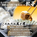 【ふるさと納税】高山餃子 50個＆ 飛騨餃子 20個 食べ比べセット ＜ 生冷凍餃子 ＞ ぎょうざ ギョーザ 冷凍 冷凍餃子 飛騨高山 簡易包装 業務用 ニラ 豚肉 お取り寄せ TR3492 2