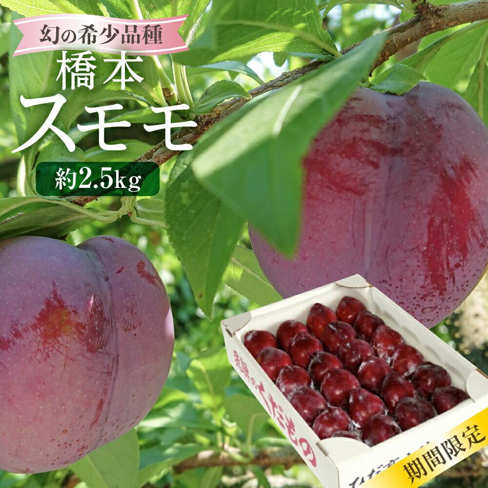 幻の希少品種 橋本スモモ 約2.5kg（大玉25個前後入り）| 8月上旬～順次発送 大玉 すもも プラム 果物 フルーツ 甘酸っぱい 希少 産地直送 旬 飛騨高山 山本果樹園 b563