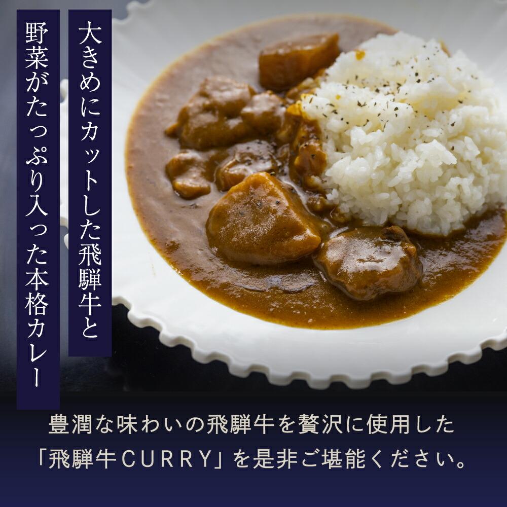 【ふるさと納税】本格飛騨牛レトルトカレー 230g×5個 | 飛騨牛 レトルトカレー 贅沢 カレー 本格 中辛 ビーフカレー 便利 簡単調理 高山市 高山フローラ b570