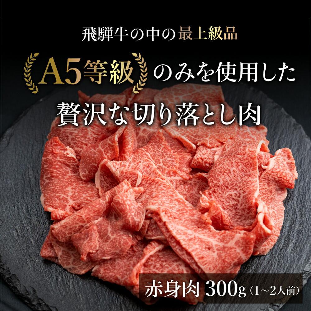 【ふるさと納税】A5等級 飛騨牛 切り落とし 300g 【日付指定不可】 ブランド牛 雌牛 5等級 A5ランク 切落し 薄切り 天狗総本店 飛騨高山 熨斗 のし TR4172