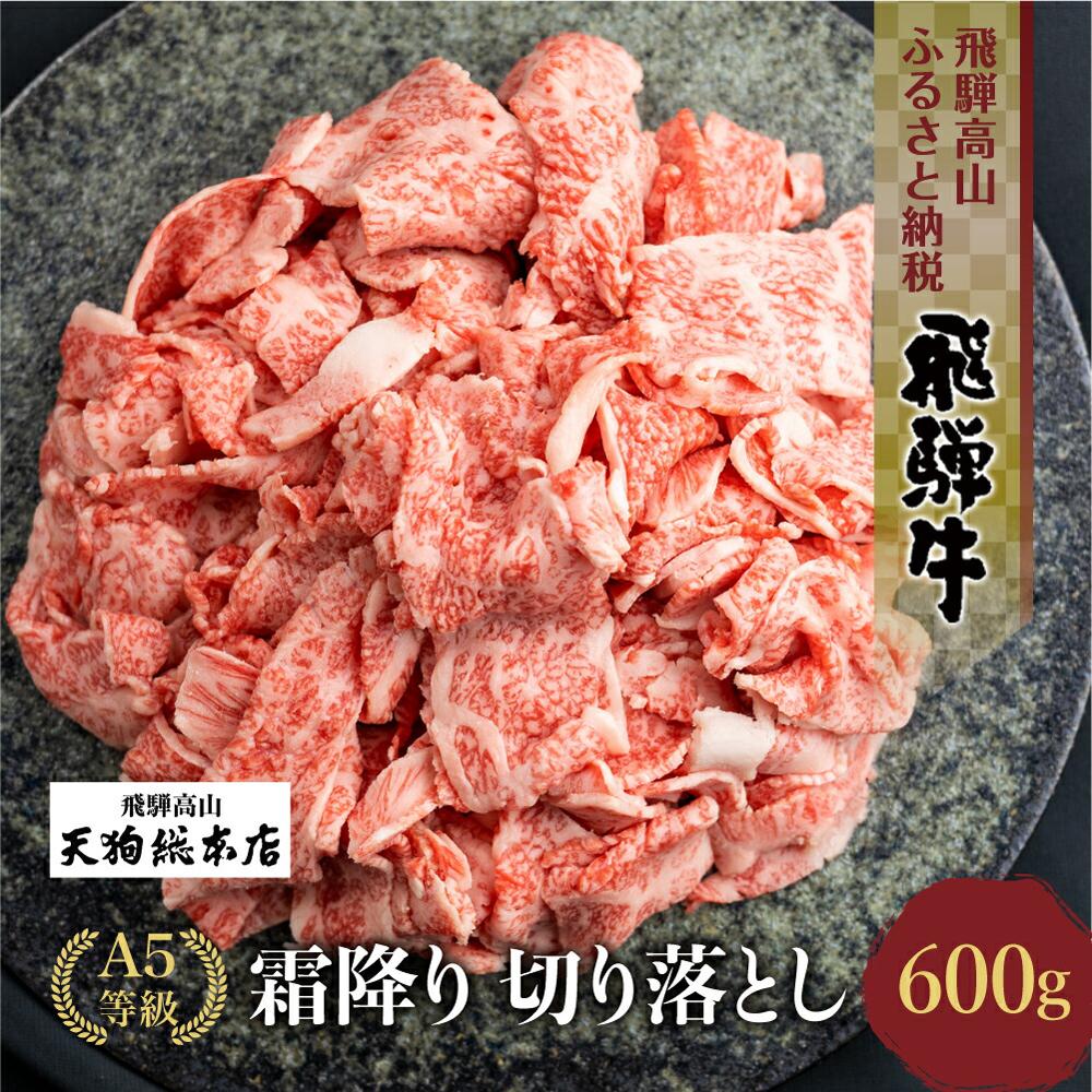 【ふるさと納税】肉 牛肉 A5飛騨牛霜降 切り落とし 600