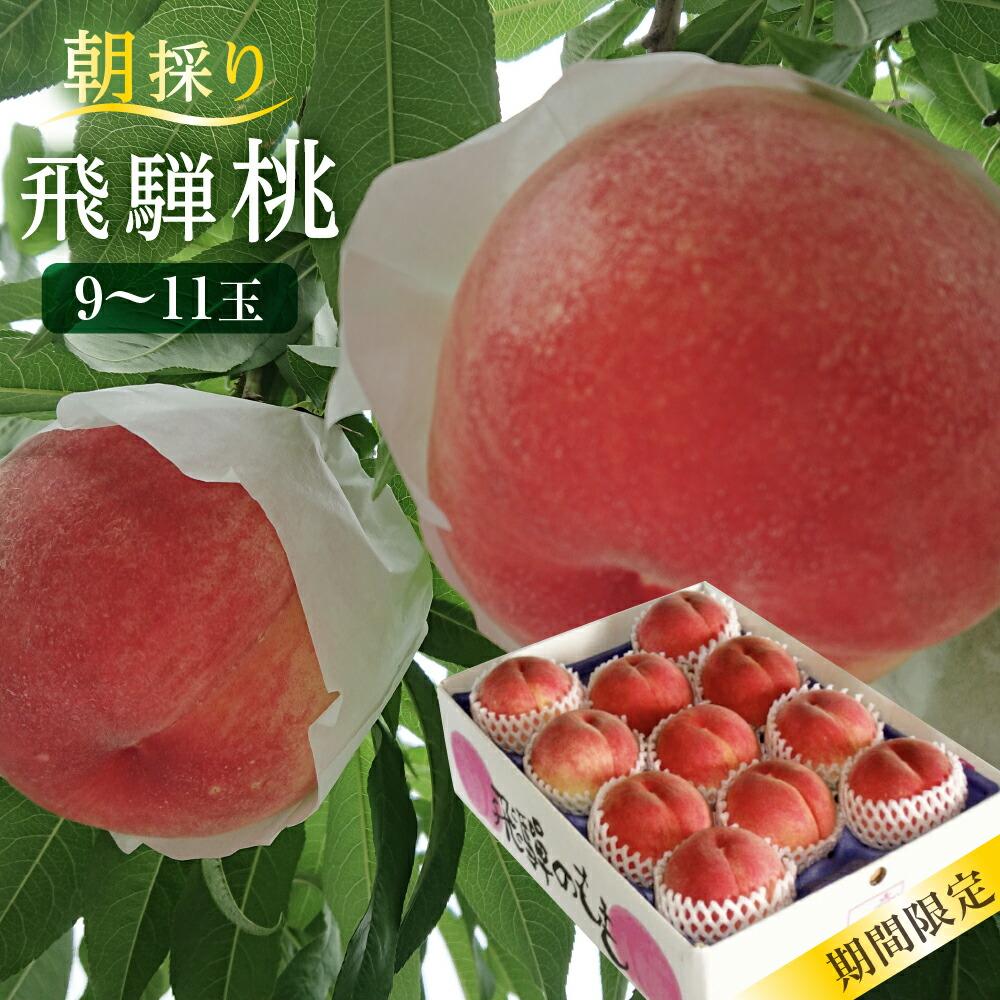 【ふるさと納税】【数量限定/先行予約】飛騨桃 約2.7kg（9～11個）| 7月下旬～順次発送 桃 もも フル...