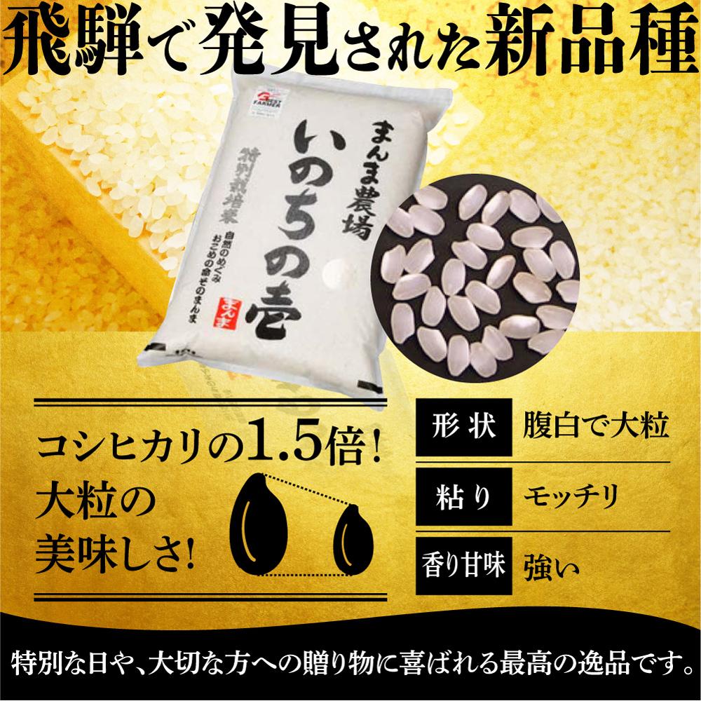 【ふるさと納税】お米 いのちの壱 10kg 白米 特別栽培米 金賞受賞農家 品種別金賞 日本一4度受賞 飛騨 まんま農場 d546