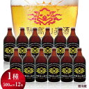 【ふるさと納税】飛騨高山麦酒 ピルスナー12本セット クラフトビール 地ビール ビール お酒飛騨高山 プレミアム 家飲み おうち時間 ピルスナー 父の日 酒 セット 贈答用 詰め合わせ d555