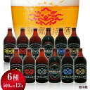 【ふるさと納税】地ビール 飲み比べセット 500ml 6種12本 詰め合わせ ビール 地ビール クラフトビール ドイツ産 贈り物 コロナ支援 ピルセナー ペールエール ヴァイツェン ダークエール スタウト カルミナ ［d550］