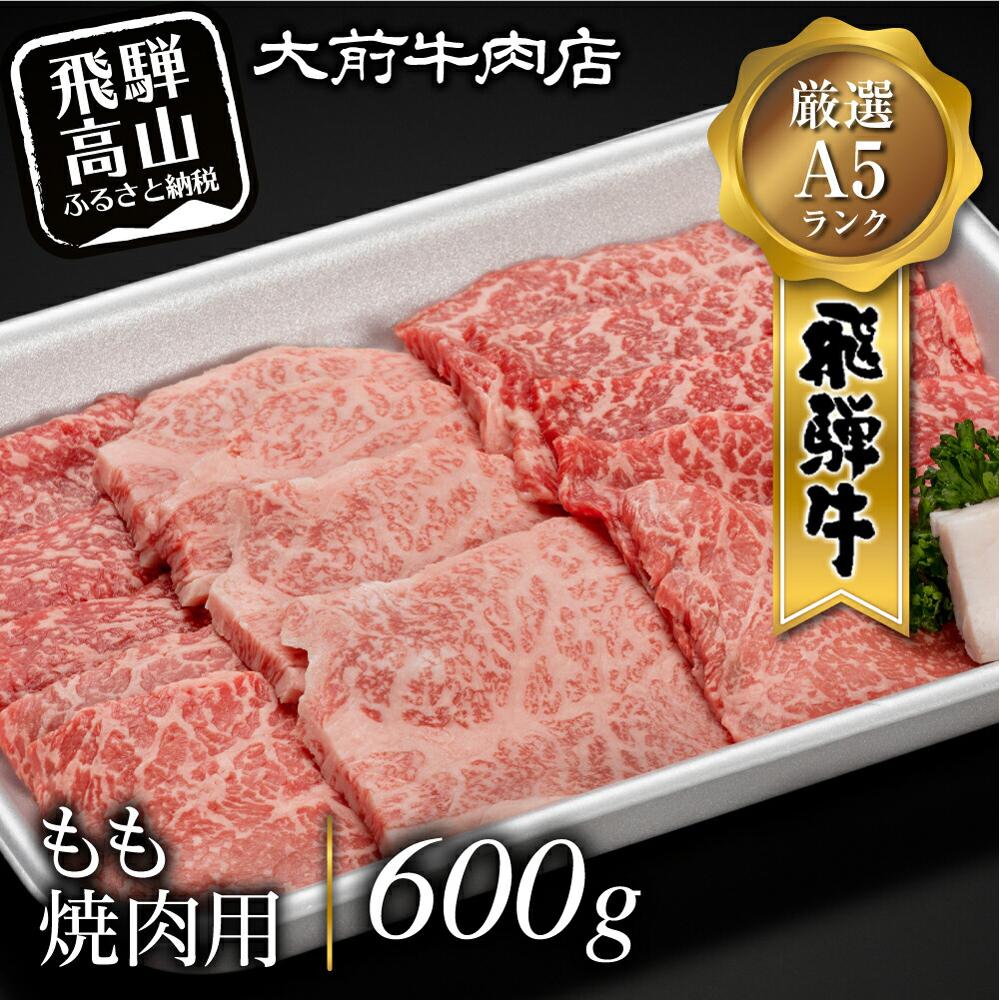 飛騨牛 【ふるさと納税】A5 飛騨牛もも 焼肉用 600g 肉 d539