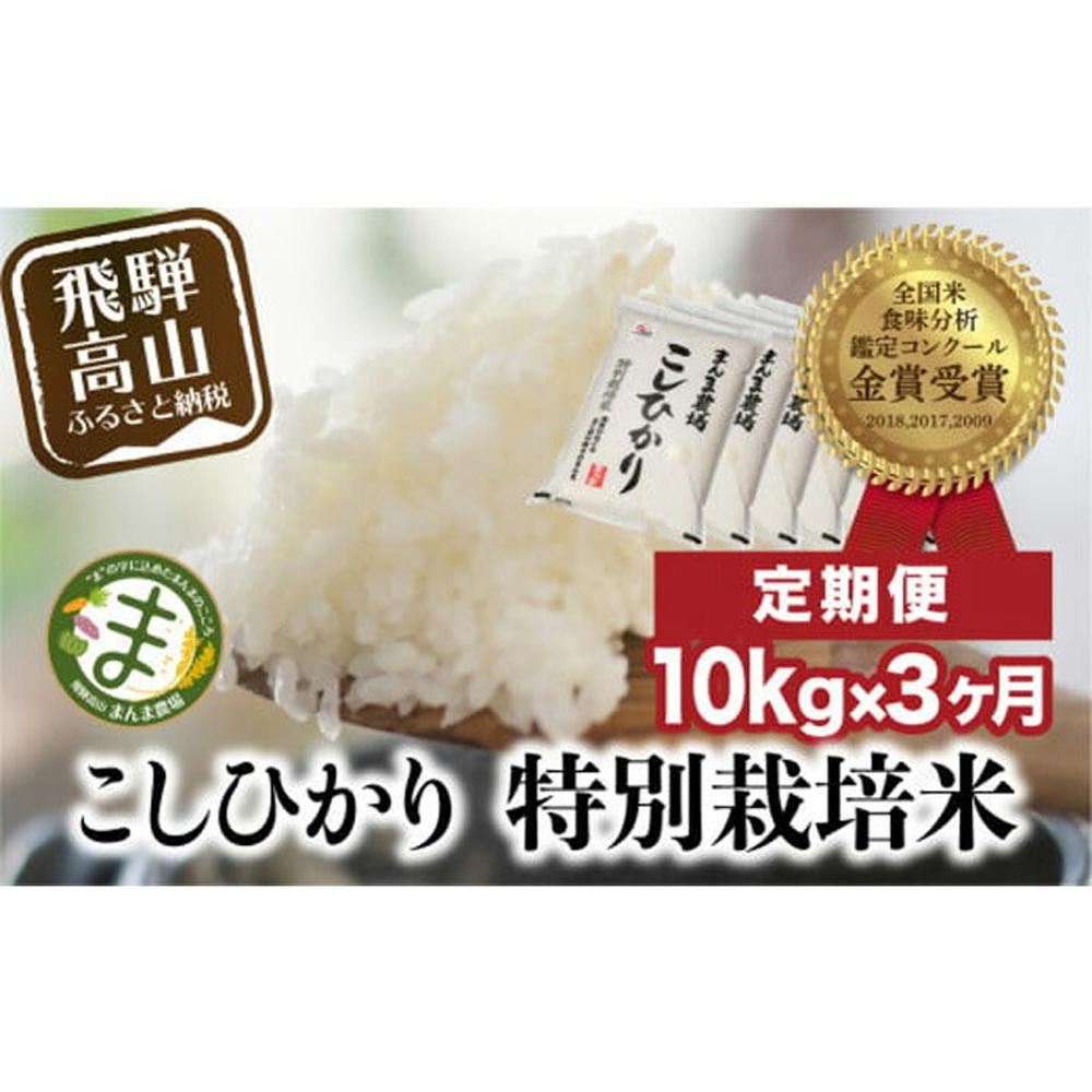 【ふるさと納税】米 定期便 30kg ( 10kg × 3ヶ