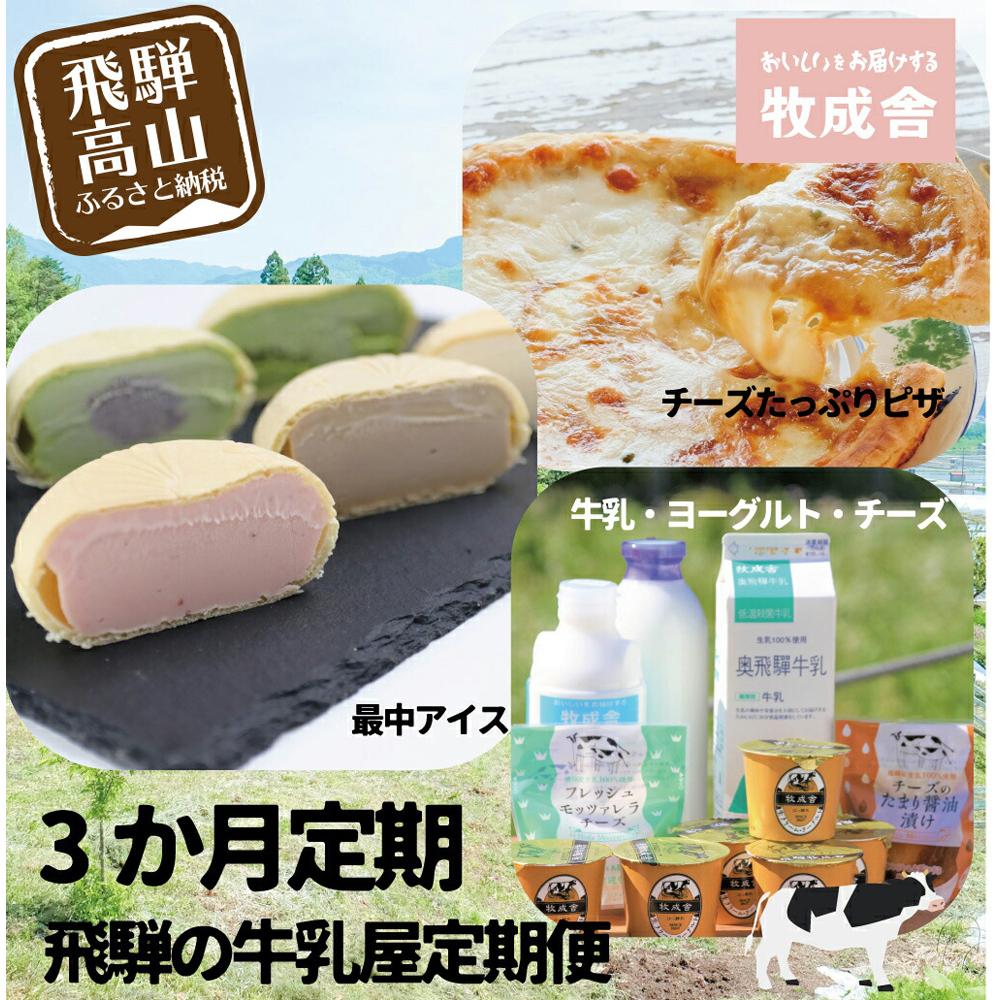 21位! 口コミ数「0件」評価「0」アイス & 乳製品 & ピザ 定期便 3ヶ月 セット ( アイス7個 乳製品11品 ピザ3枚 ) 牧成舎 岐阜 高山市 飛騨高山 岐阜県 |･･･ 