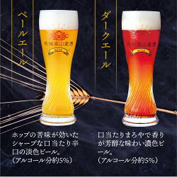 【ふるさと納税】飛騨高山麦酒 バラエティー缶12本詰め合わせ ビール お酒 飛騨高山 クラフトビール 地ビール 飛騨高山 プレミアム 家飲み おうち時間 ピルスナー ヴァイツェン ダークエール 父の日 酒 セット 贈答用 詰め合わせ c560･･･ 画像2