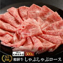 【ふるさと納税】A5飛騨牛 しゃぶしゃぶロース 500g 黒毛和牛 肉 飛騨牛 高級 おいしい 人気 しゃぶしゃぶ 飛騨高山 (株)天狗総本店 d518