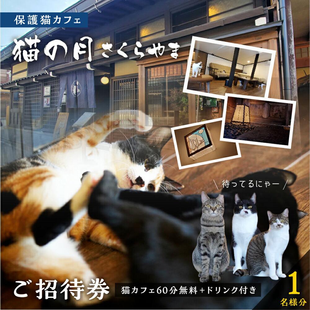 【ふるさと納税】猫の月さくらやまご招待券1名様分（猫カフェ60分無料＋ワンドリンク付き）　ネコカフェ チケット 猫 ねこ ドリンク付き 古民家カフェ 保護猫 猫の月 さくらやま TR4599