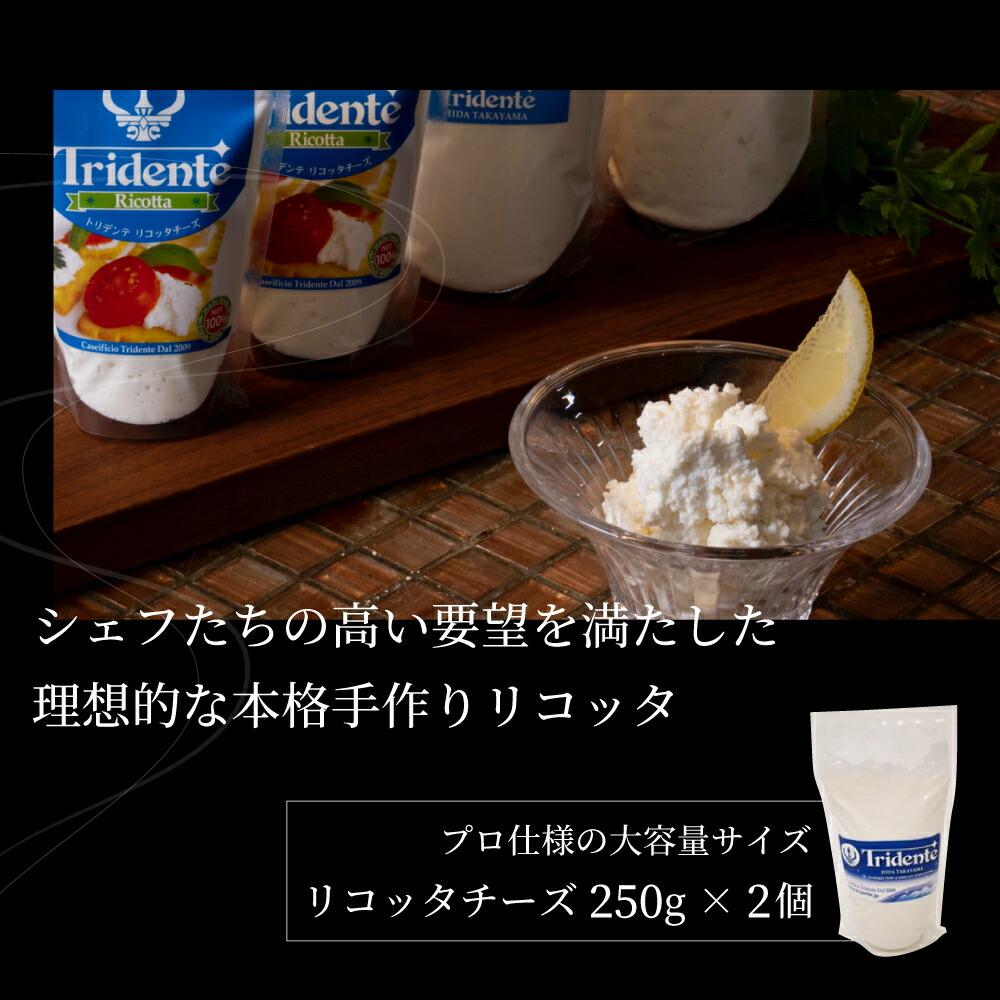 【ふるさと納税】リコッタチーズ 250g 2個セット リコッタ 冷蔵 サラダ お菓子 前菜 サラダ 新鮮 生乳 国産 低温殺菌 乳製品 無添加 大容量 業務用サイズ 飛騨高山 トリデンテ リアライン TR4539