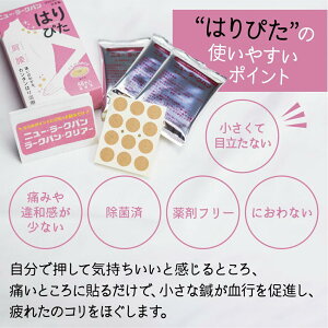 【ふるさと納税】ニュー・ラークバン はりぴた48鍼 ×5箱 はりぴた 鍼 はり治療 円皮鍼 自宅治療 肩こり 肌色 48鍼 TR4575