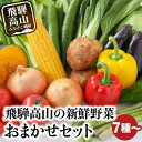 【ふるさと納税】飛騨高山の新鮮野菜おまかせセット | 野菜 