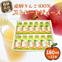 【ふるさと納税】飛騨りんごジュース 180ml×12本箱詰め