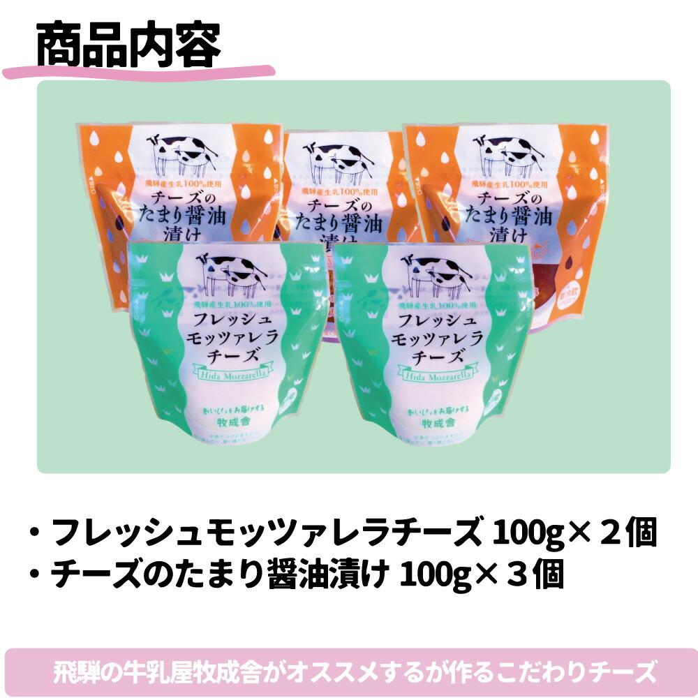 【ふるさと納税】＜牧成舎＞ご当地チーズグランプリ 最高金賞受賞 飛騨の牛乳屋のこだわりモッツァレラ 2種セット（5個入り） a572