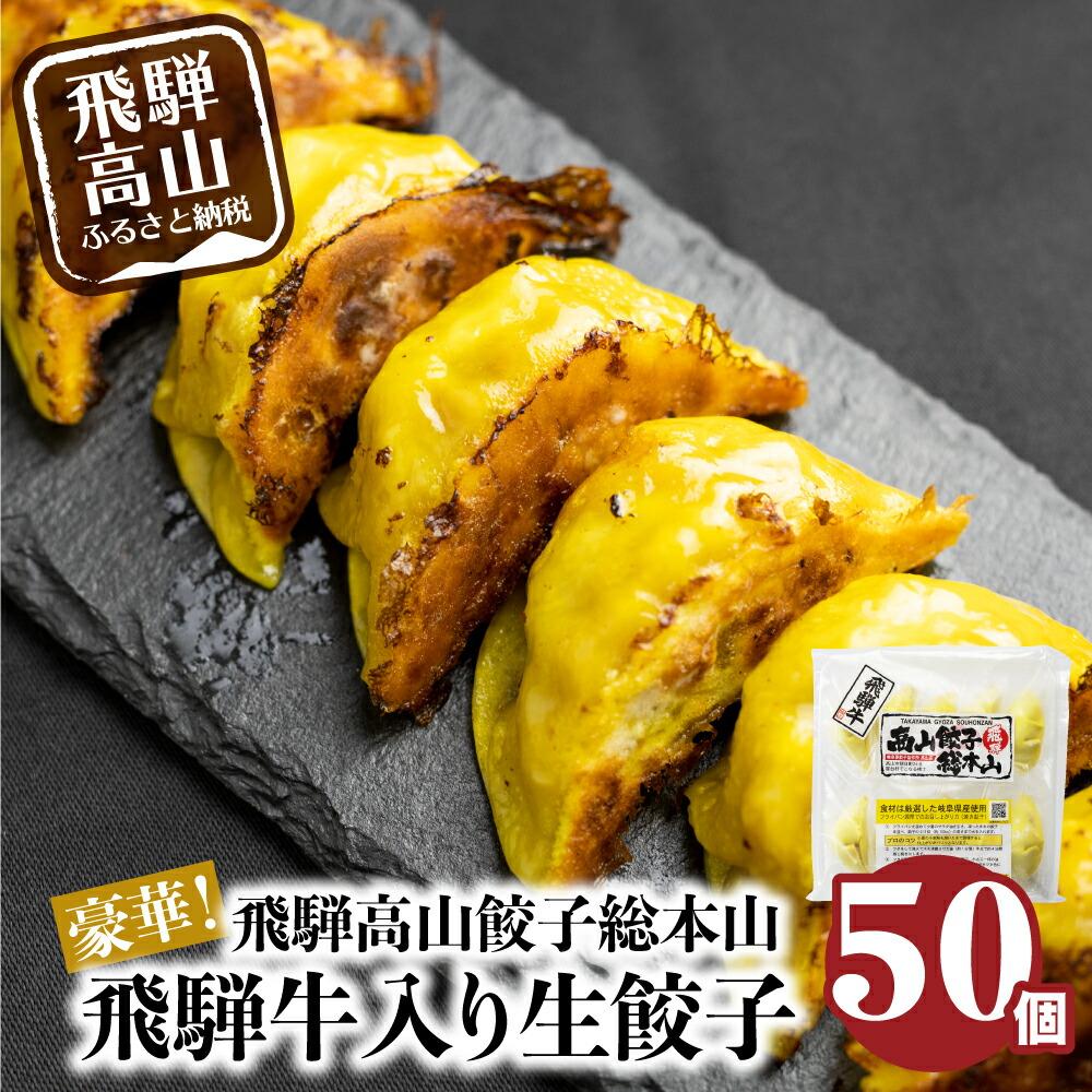 豪華! 飛騨餃子 ファミリーパック 50個入り [ 生冷凍餃子 ・ 簡易包装 ] ぎょうざ ギョーザ 冷凍 冷凍餃子 飛騨高山 業務用 大容量 ニラ 飛騨牛 お取り寄せ 酒 つまみ