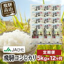 30位! 口コミ数「1件」評価「5」12ヶ月 定期便 飛騨こしひかり 5kg 【令和5年度産】 JAひだ 飛騨高山 お米 コシヒカリ JA飛騨 TR3444 | 送料無料 コシ･･･ 