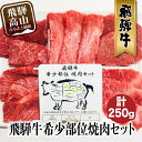 54位! 口コミ数「3件」評価「5」飛騨牛 希少部位 焼肉 盛り合わせ 250g 5種食べ比べ ( ヒレ / ロース / もも など ) A5等級 肉 焼肉セット 食べ比べ 天･･･ 