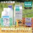 ＜牧成舎＞ 定期便3カ月 飛騨の牛乳屋のこだわり「牛乳 ヨーグルト チーズ」 乳製品をまるごとお届け 11点×3回 c528 | 乳製品 飲むヨーグルト 送料無料 お取り寄せ 人気 お楽しみ おすすめ