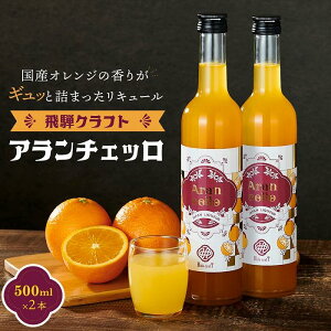 【ふるさと納税】飛騨クラフト アランチェッロ 500ml 2本セット 有限会社森瓦店 MM011 | お酒 さけ 人気 おすすめ 送料無料 ギフト