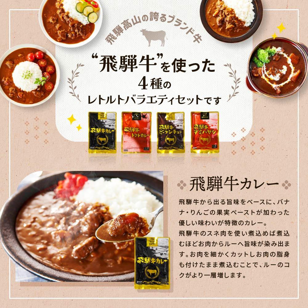 【ふるさと納税】訳あり 飛騨牛レトルト4種12袋！　バラエティセット ビーフカレー トマトカレー ビーフシチュー デミハヤシ レトルト 12袋 ふるさと清見21　DC002 | 食品 加工食品 人気 おすすめ 送料無料