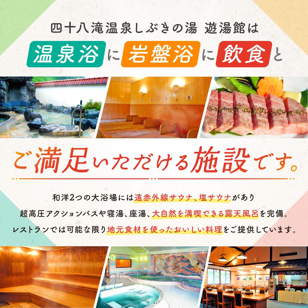 【ふるさと納税】入浴・食事・リラクゼーション・岩盤浴・キャンプ(バンガロー)共通利用券【四十八滝温泉しぶきの湯＋キャンプ場】飛騨国府観光株式会社 EL001