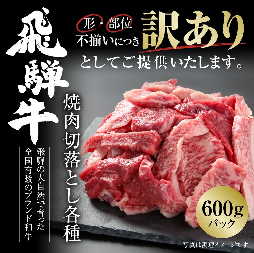 飛騨牛 【ふるさと納税】訳あり 飛騨牛 焼肉 切り落とし 600g ブランド牛 切落し 不揃い 【飛騨高山ミート MZ013】 | 肉 お肉 にく 食品 飛騨牛 人気 おすすめ 送料無料 ギフト