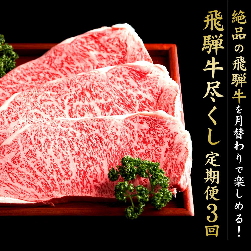 飛騨牛 【ふるさと納税】満喫飛騨牛3ヶ月定期便（全3回）牛肉 しゃぶしゃぶ ステーキ 切り落とし 飛騨牛のこもり FC002