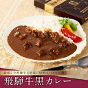 19位! 口コミ数「0件」評価「0」喜八郎謹製・飛騨牛黒カレー 山一商事 EN001