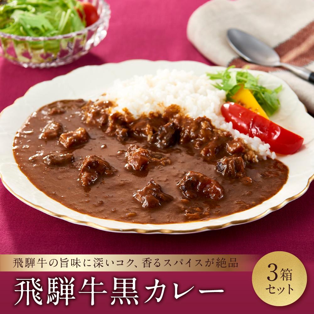 喜八郎謹製・飛騨牛黒カレー3箱セット 山一商事 EN002