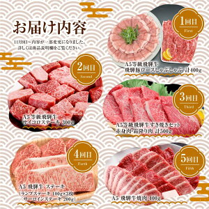 【ふるさと納税】定期便 飛騨牛づくし 全5回 ( すき焼き / ステーキ / 焼肉 / しゃぶしゃぶ ) 計2.1kg | 肉 5ヶ月 牛肉 肉 豚肉 お楽しみ 食べ比べ サーロイン サイコロ 赤身 A5等級 和牛 黒毛和牛 肉定期便 岐阜 高山 BBQ 人気 おすすめ TR3224