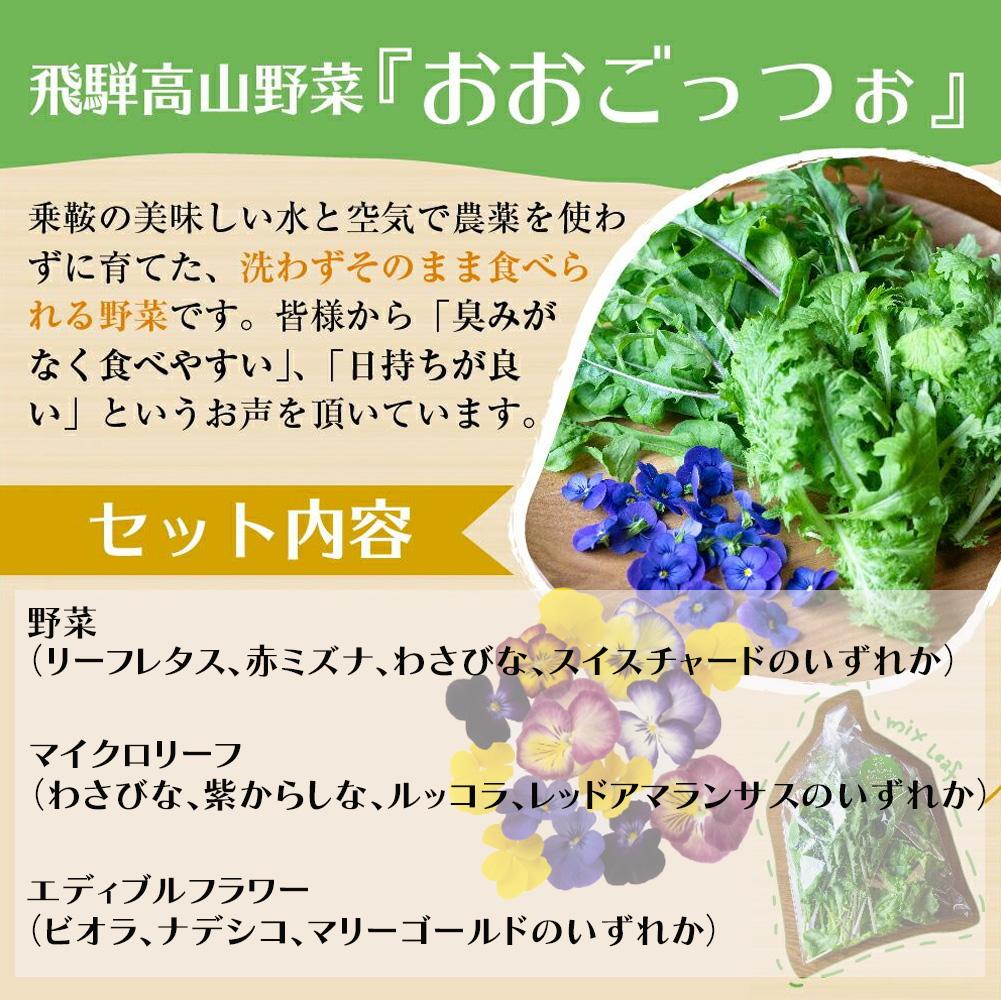 【ふるさと納税】【定期便3回】飛騨高山野菜『おおごっつぉ』詰合せ 葉物野菜 葉物 ミックスリーフ わさびな フラワーサラダ 無農薬野菜 無農薬 TR3647