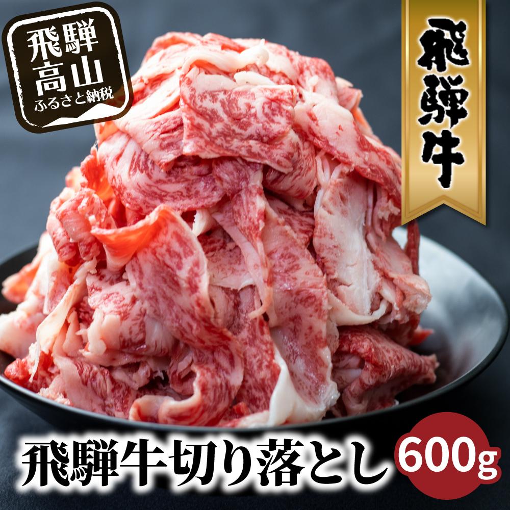 【ふるさと納税】【発送月が選べる】飛騨牛 訳あり 切り落とし600g (日付指定不可) | 牛肉 肉 訳あり 切落し すき焼…