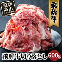 【ふるさと納税】【発送月が選べる】飛騨牛 訳あり 切り落とし600g (日付指定不可) 牛肉 肉 訳あり 切落し すき焼き 高山市 不揃い 黒毛和牛 冷凍 人気 国産 薄切り 部位 お取り寄せ グルメ 高評価 レビュー 10000円 1万円 (株)丸明 TR3734