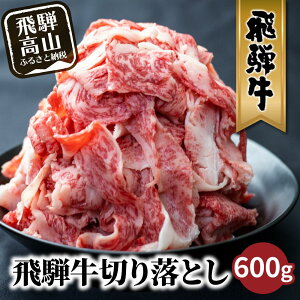 【ふるさと納税】【発送月が選べる】飛騨牛 訳あり 切り落とし600g (日付指定不可) | 牛肉 肉 訳あり 切落し すき焼き 高山市 不揃い 黒毛和牛 冷凍 人気 国産 薄切り 部位 お取り寄せ グルメ 高評価 レビュー 10000円 1万円 (株)丸明 TR3734