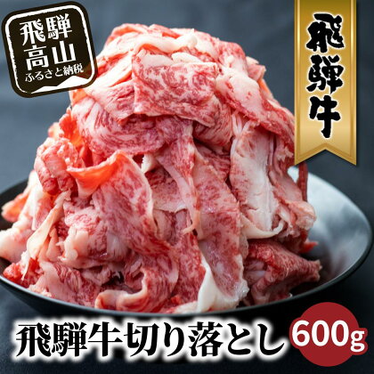 【発送月が選べる】飛騨牛 訳あり 切り落とし600g (日付指定不可) | 牛肉 肉 訳あり 切落し すき焼き 高山市 不揃い 黒毛和牛 冷凍 人気 国産 薄切り 部位 お取り寄せ グルメ 高評価 レビュー 10000円 1万円 (株)丸明 TR3734