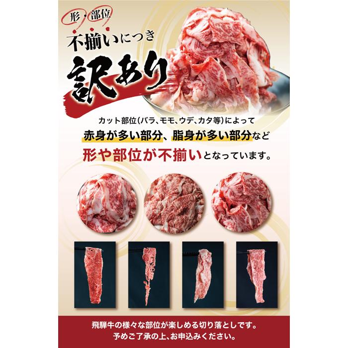 【ふるさと納税】【発送月が選べる】飛騨牛 訳あり 切り落とし600g (日付指定不可) | 牛肉 肉 訳あり 切落し すき焼き 高山市 不揃い 黒毛和牛 冷凍 人気 国産 薄切り 部位 お取り寄せ グルメ 高評価 10000円 1万円 (株)丸明 TR3734 ふるさと納税 訳あり ふるさと 納税