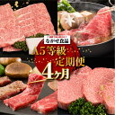 8位! 口コミ数「4件」評価「4.75」A5ランク 飛騨牛 贅沢 食べつくし定期便 4回 約1.8kg ( カルビ・もも / ロースすき焼き / 肩ロースしゃぶしゃぶ / シャトー･･･ 