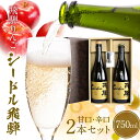 【ふるさと納税】飛騨りんご お酒 シードル 飛騨 辛口・甘口 2本セット スパークリング スパークリングワイン 果実酒 りんご リンゴ ワイン セット 化粧箱入り プレゼント 木戸脇果樹園 飛騨 辛口 c548