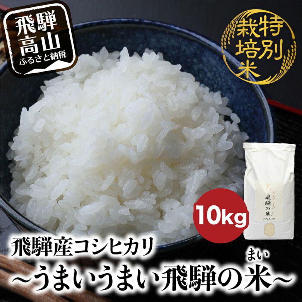 令和5年産 飛騨 コシヒカリ白米 10kg こしひかり 飛騨産 精米 令和5年産 お米 特別栽培米 ファームジネンいいむら