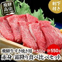 飛騨牛 【ふるさと納税】飛騨牛A5ランク すき焼き用肉 赤身・霜降り食べ比べ たっぷり計550g 割下300ml付き | 和牛 飛騨牛 食べ比べ 赤身 霜降り 割り下 すき焼きセット 鍋 贅沢 飛騨高山 岩ト屋 TR3282