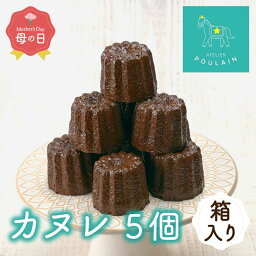 【ふるさと納税】【母の日ギフト】 お届け5/10～5/11 【数量限定】 カヌレ 箱入り5個 洋菓子 お菓子 贈答 内祝い 熨斗 のし対応可 ギフト プレゼント バレンタイン ホワイトデー 母の日 飛騨高山 本郷 TR4290