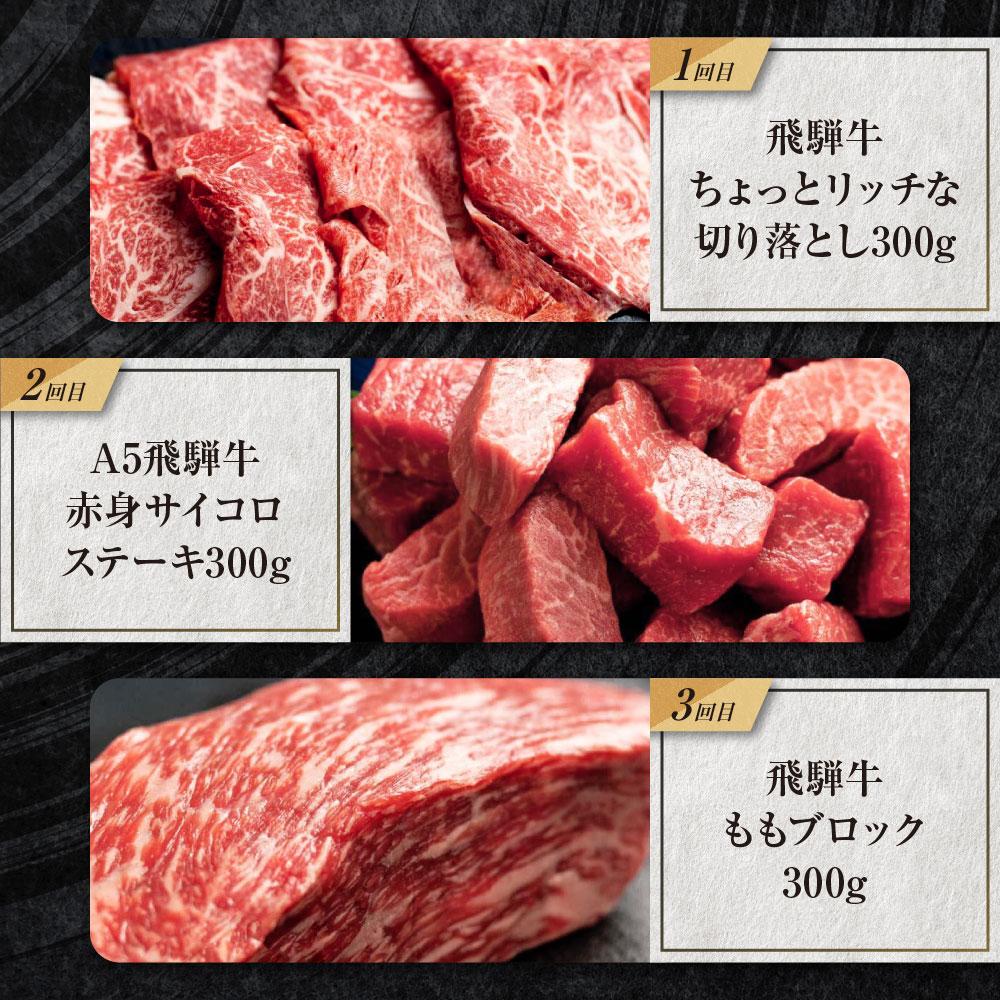 【ふるさと納税】飛騨牛 定期便 全3回 900g ( 300g × 3ヶ月 ) 牛肉 (ブロック / 切り落とし / サイコロステーキ ) | 肉 食べ比べ 岐阜 高山市 飛騨高山 岐阜県 人気 お楽しみ おすすめ TR4454