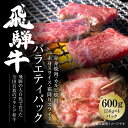 【ふるさと納税】飛騨牛 バラエティ（スライス/焼肉）150g×4パック ※4種 | 肉 牛肉 人気 食べ比べ 焼肉 スライス 霜降りスライス 赤身 BBQ 大容量 箱入り 真空パック おすすめ 飛騨高山 【飛騨高山ミート MZ017】