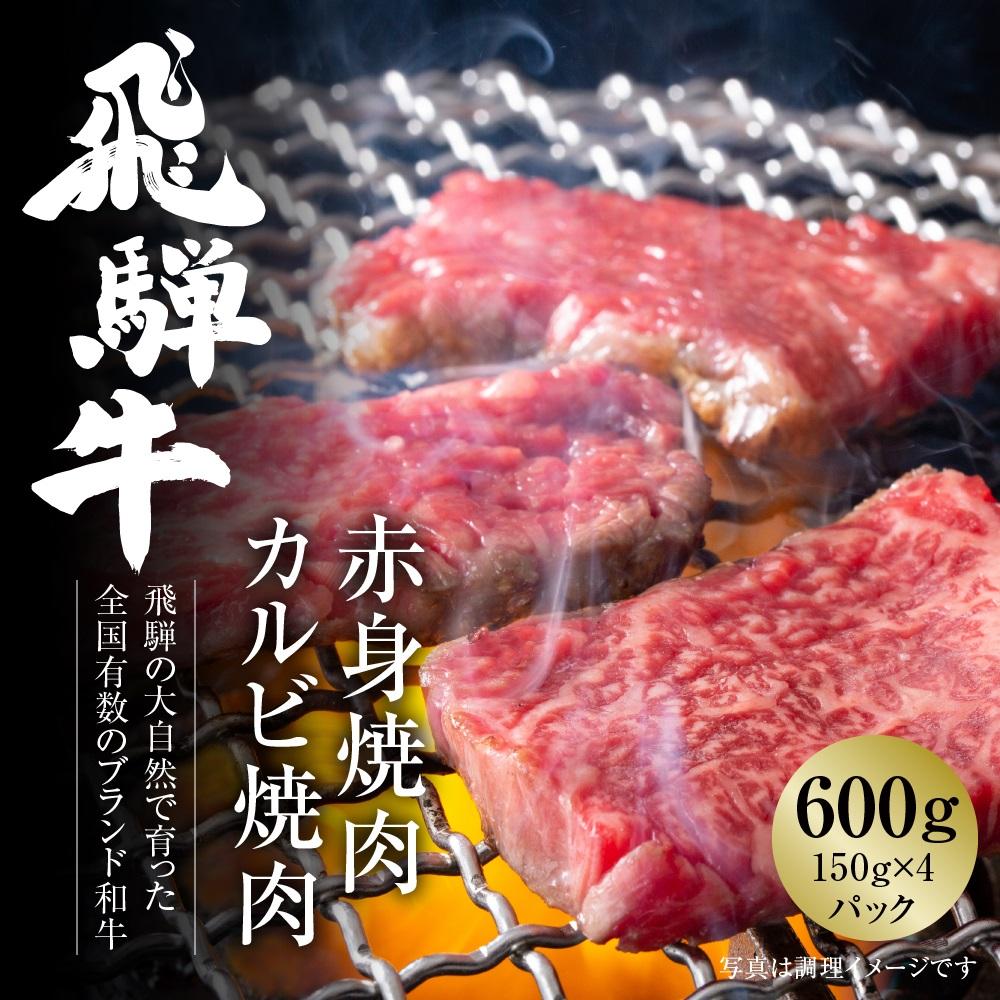 飛騨牛 【ふるさと納税】飛騨牛 厳選2種盛 600g（赤身焼肉・カルビ焼肉）小分け 冷凍真空パック【飛騨高山ミートMZ008】