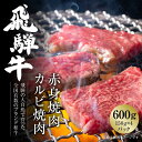 飛騨牛 【ふるさと納税】飛騨牛 厳選2種盛 600g（赤身焼肉・カルビ焼肉）小分け 冷凍真空パック【飛騨高山ミートMZ008】