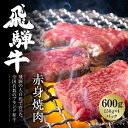 飛騨牛 【ふるさと納税】飛騨牛 赤身焼肉 600g 使い勝手の良い 小分け 冷凍真空パック【飛騨高山ミート MZ006】